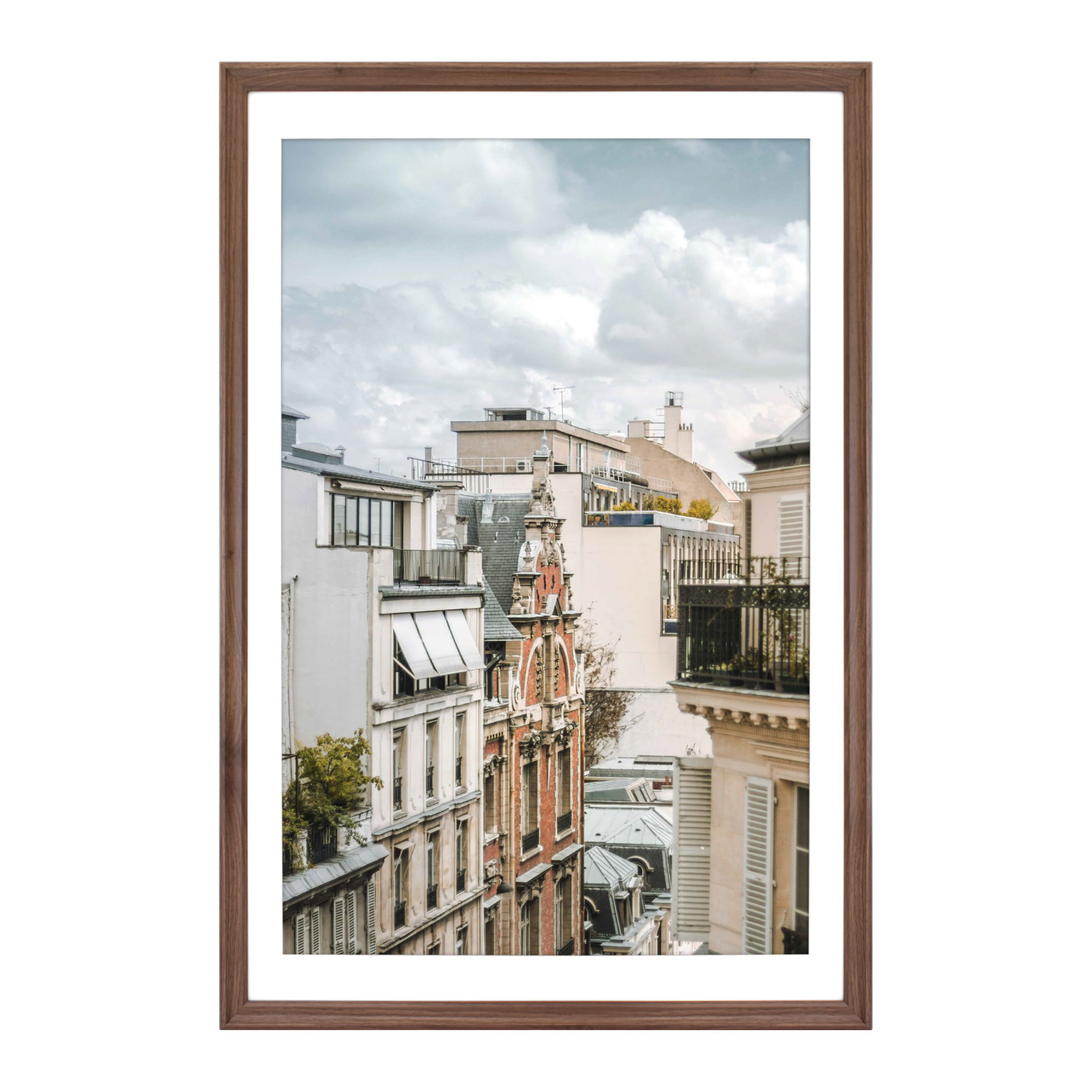 slide 1 of 1, MCS Poster Frame Walnut 27x40 matted to 24x36, 1 ct