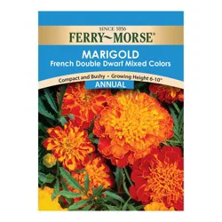 Ferry Morse Marigold - French Double Dwarf