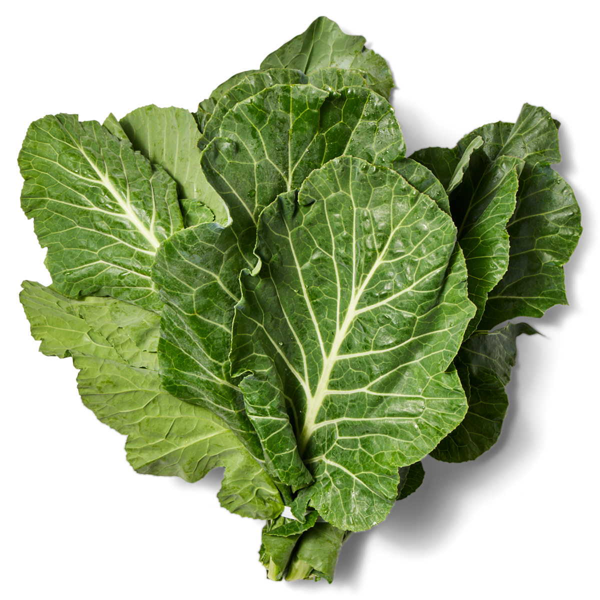 slide 1 of 5, Jumbo Collard Greens Bunch, 1 ct