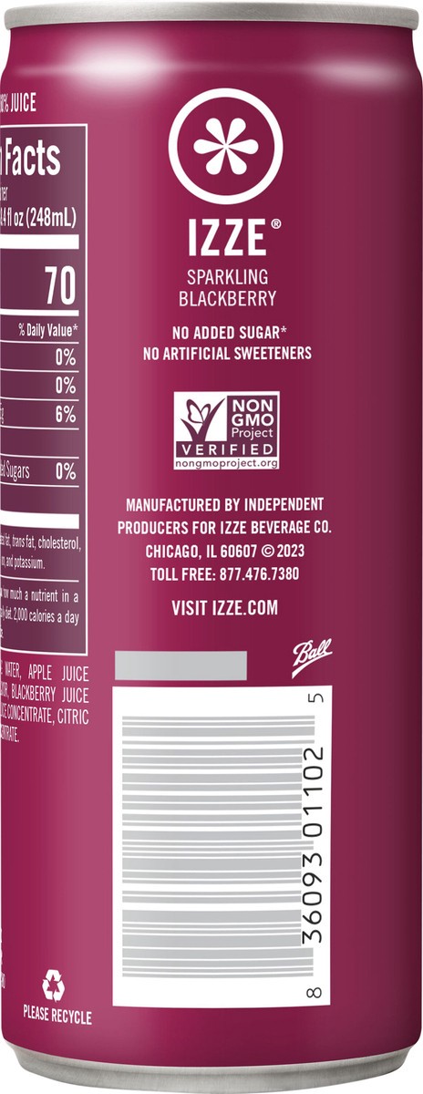 slide 6 of 7, IZZE Sparkling Blackberry Juice Beverage- 8.4 fl oz, 8.4 fl oz