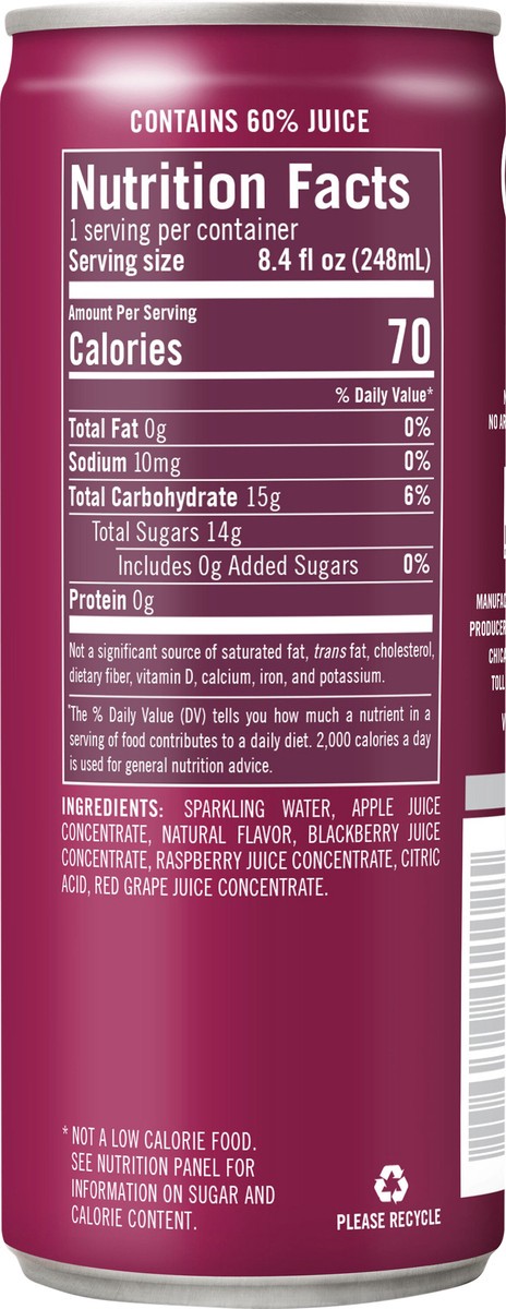 slide 2 of 7, IZZE Sparkling Blackberry Juice Beverage- 8.4 fl oz, 8.4 fl oz