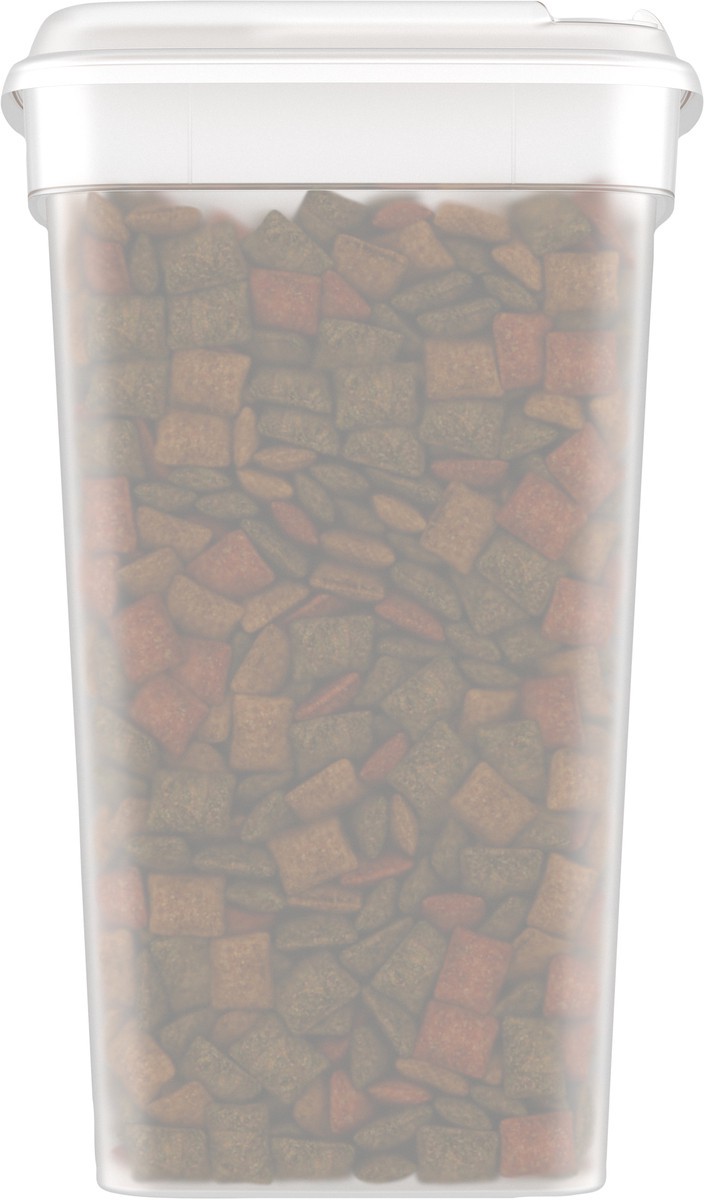 slide 7 of 9, Temptations MixUps Catnip Fever Chicken Catnip & Cheese Flavors Treats for Cats Value Size 16 oz, 16 oz