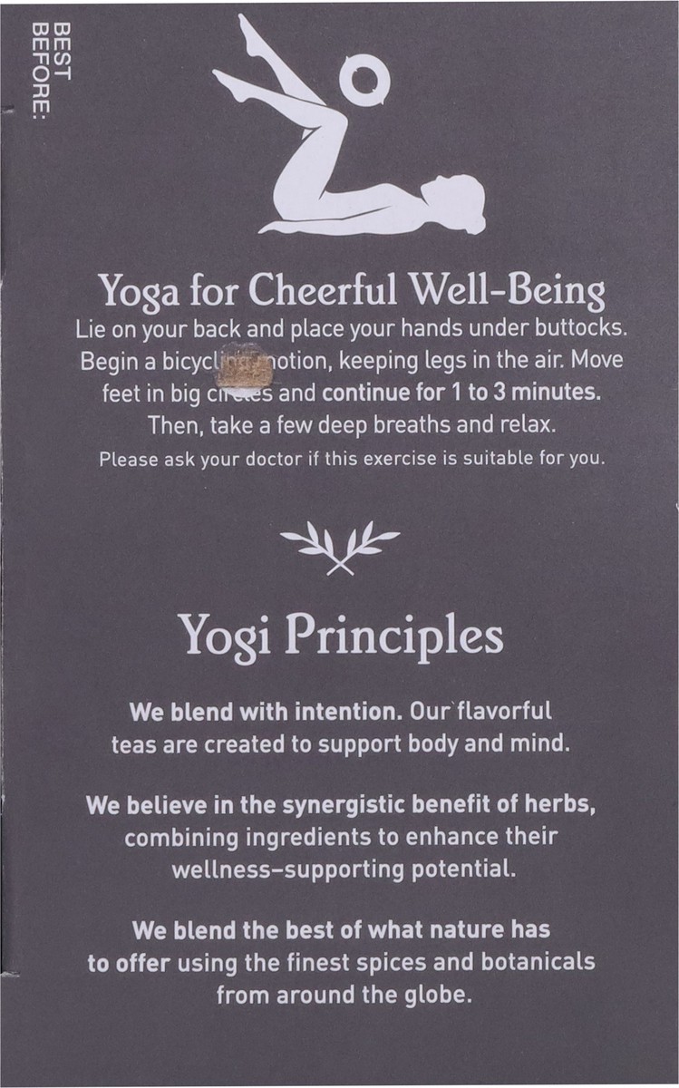 slide 8 of 9, Yogi Tea Orange Clove Tea, 16 ct