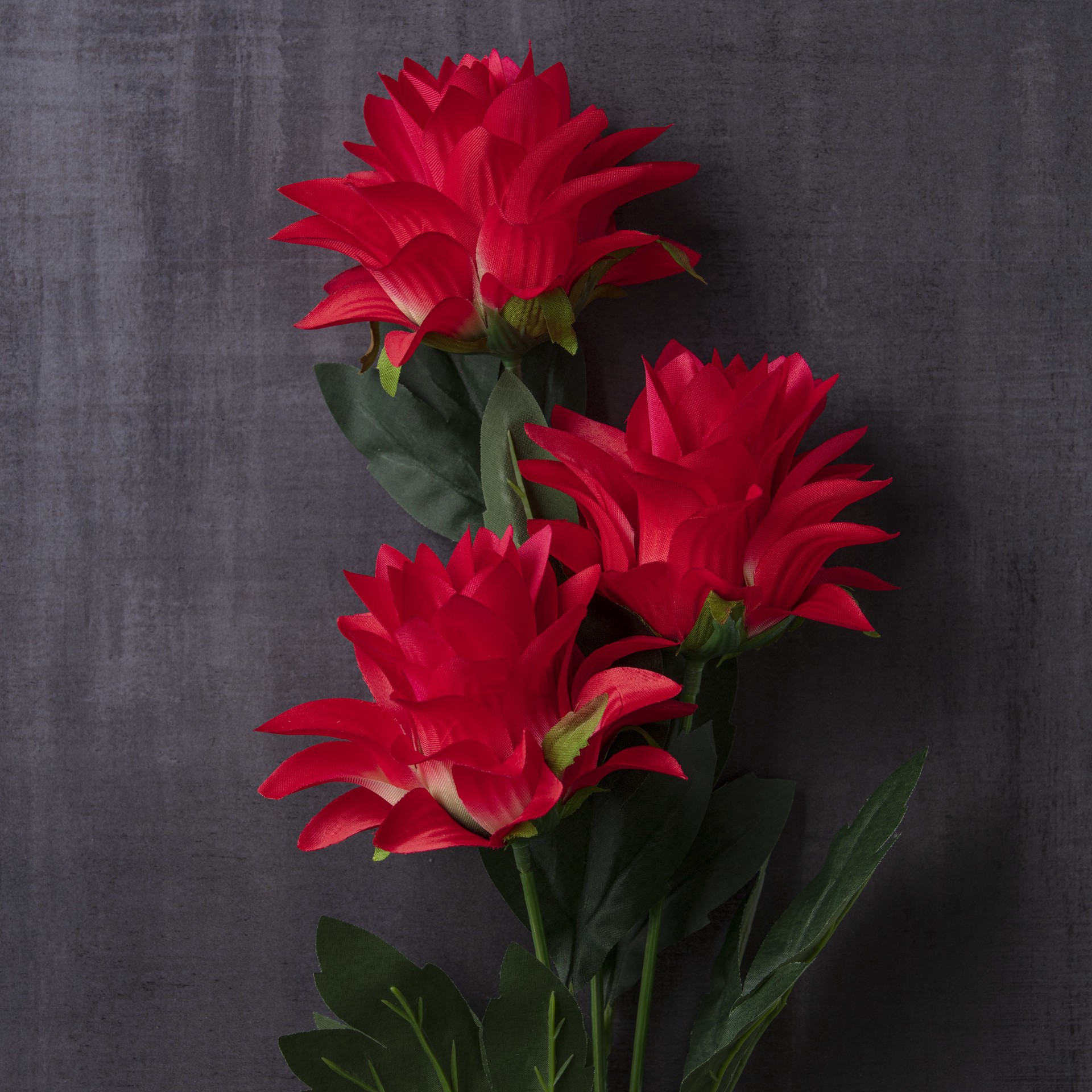 slide 4 of 4, Red Hops Stem By Ashland, 28 in