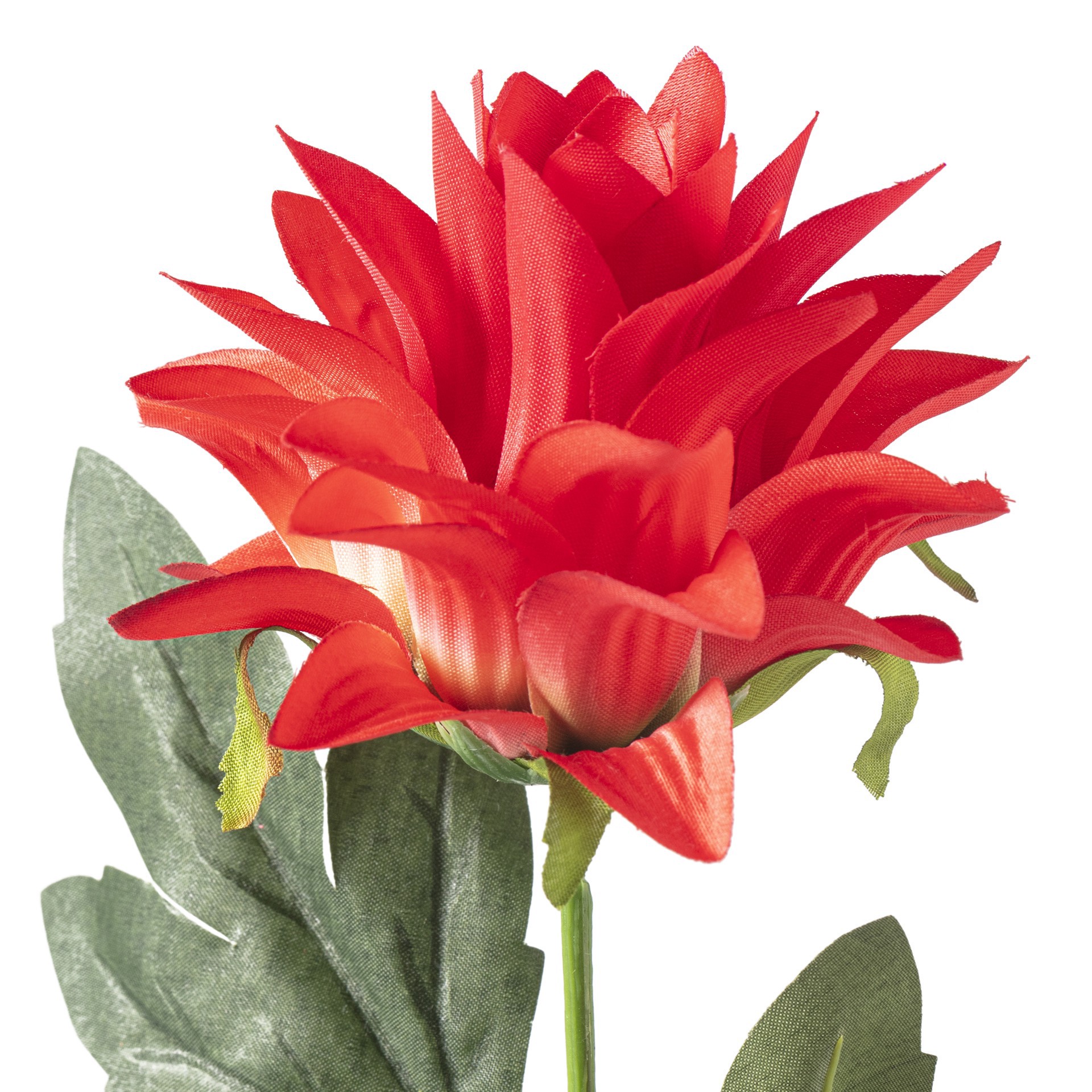 slide 2 of 4, Red Hops Stem By Ashland, 28 in