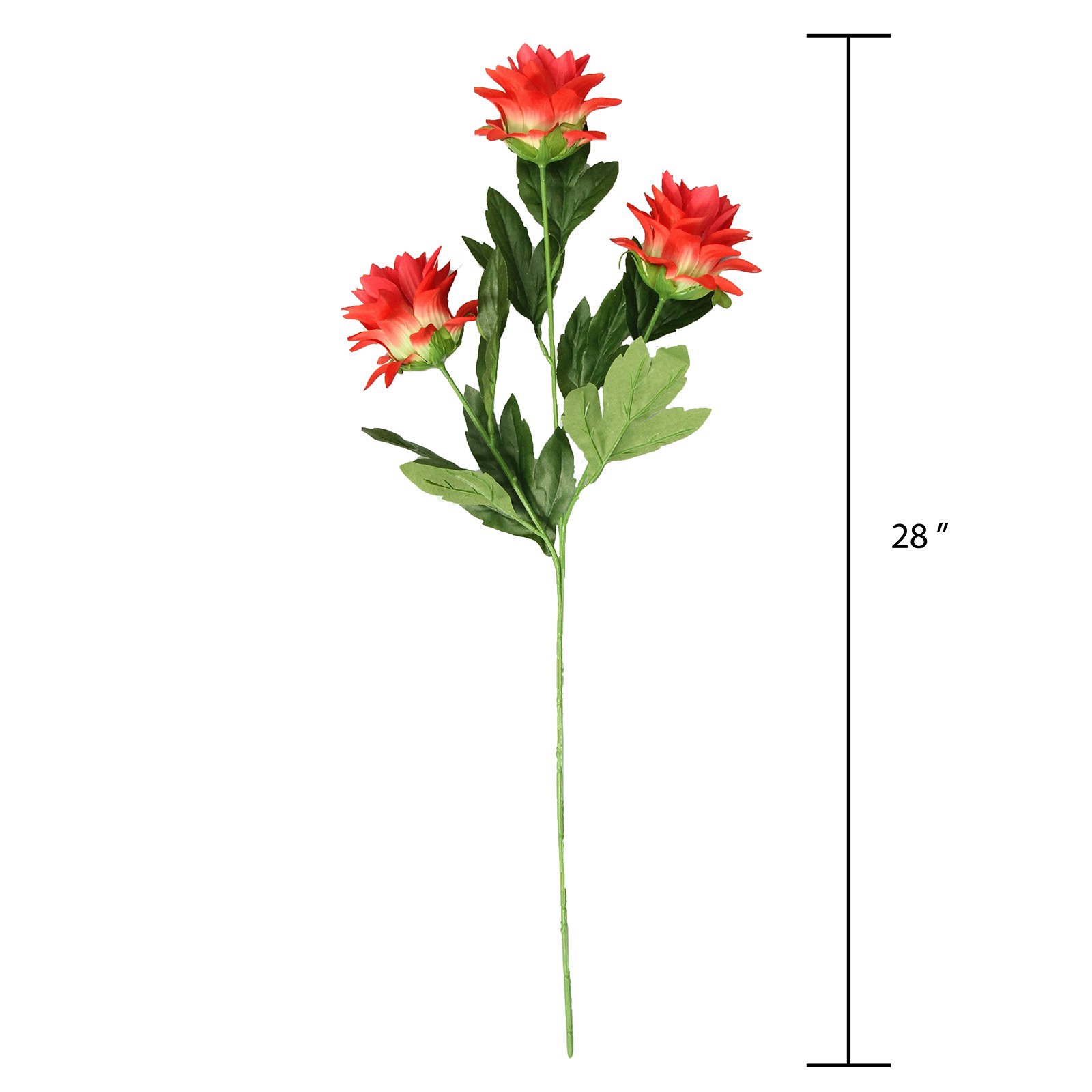 slide 3 of 4, Red Hops Stem By Ashland, 28 in