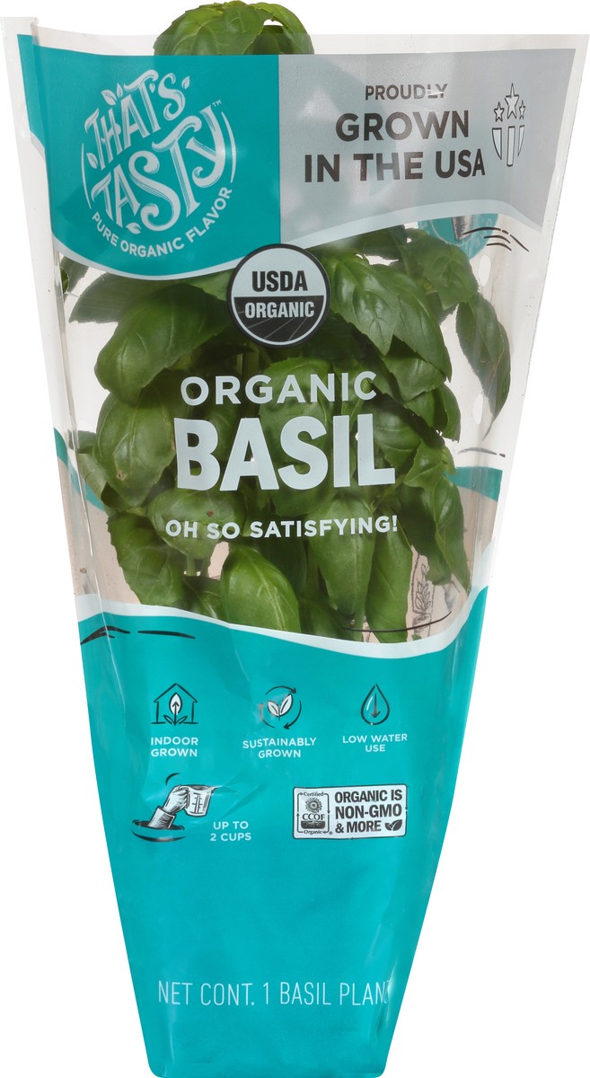 slide 8 of 11, That's Tasty Living Organic Basil, 1 ct