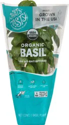 That's Tasty Living Organic Basil