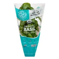 Living Organic Basil