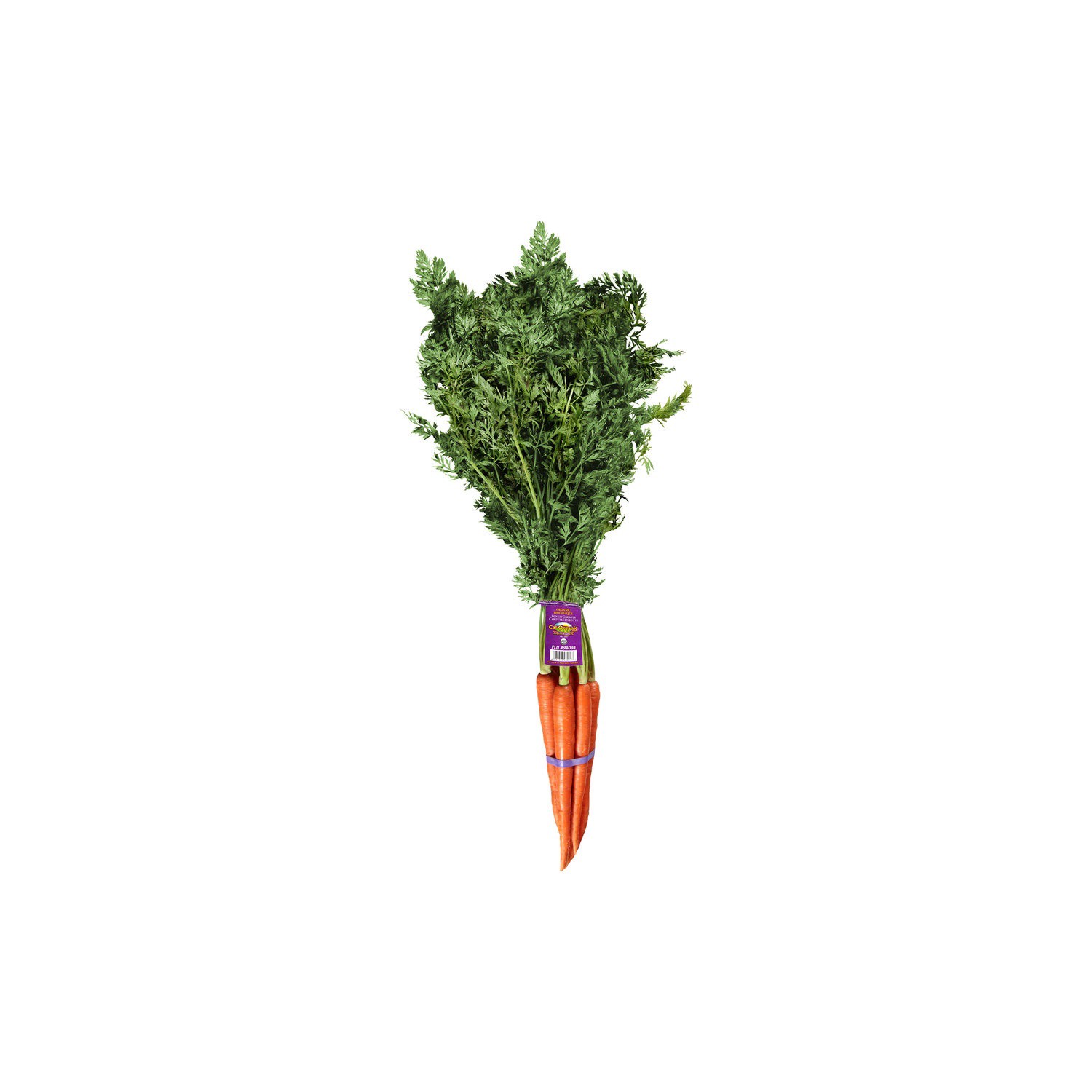 slide 1 of 1, Carrot 1 ea, 1 lb