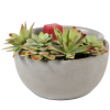 slide 3 of 5, SCENTSATIONALS FUSION - WARMER - FULL SIZE - Succulent Bowl, 1 ct