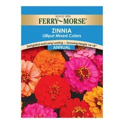 Ferry Morse Zinnia