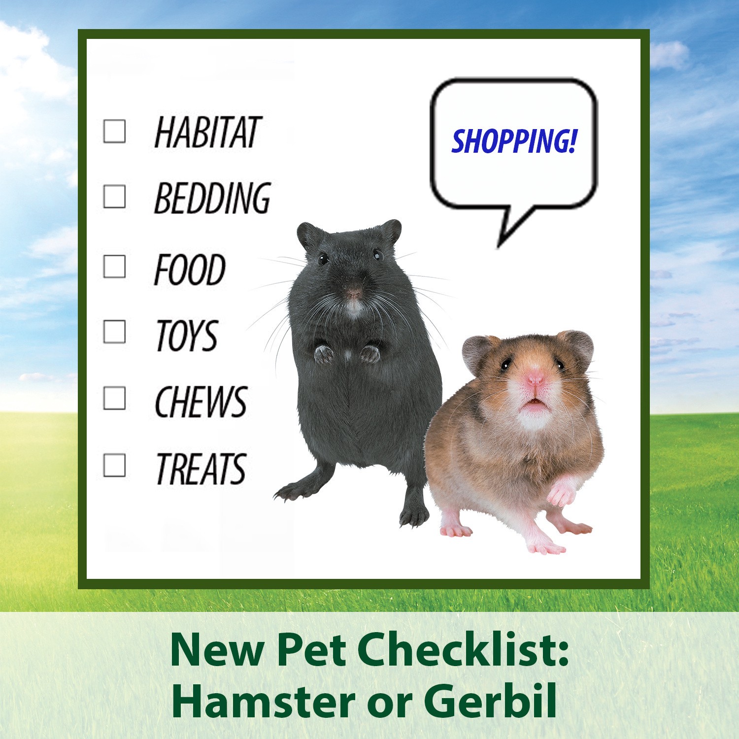 slide 6 of 8, Kaytee Pet Specialty Kaytee Fiesta Hamster and Gerbil Food 2.5 lb, 2.5 lb