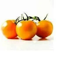Tomatoes Orange Tov/cluster