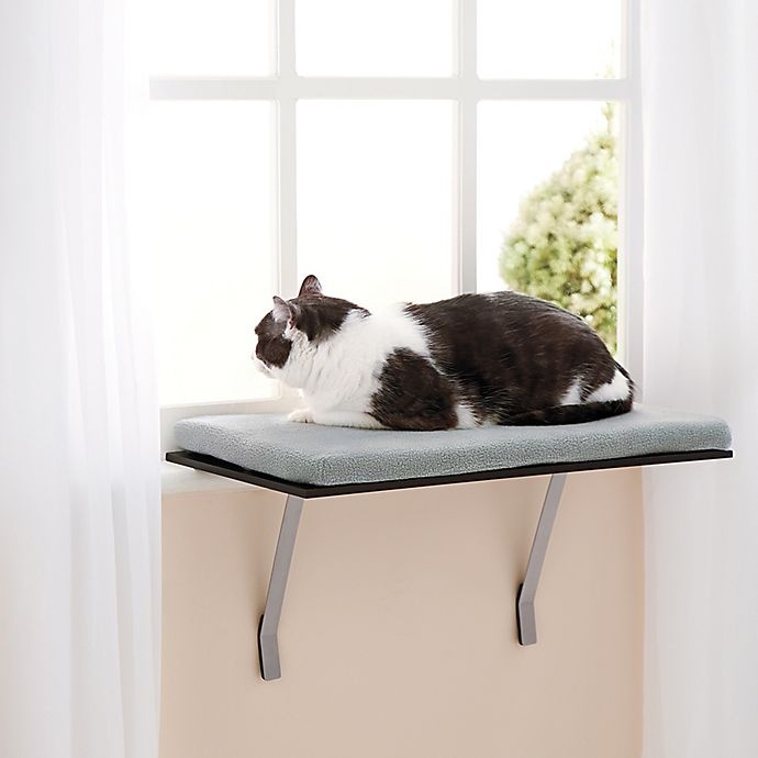 slide 2 of 2, Pawslife Deluxe Window Cat Perch, 1 ct