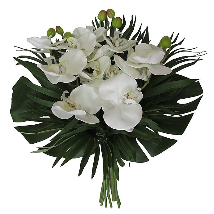 slide 1 of 1, W Home Phalaenopsis Orchid Bouquet - White, 17 in