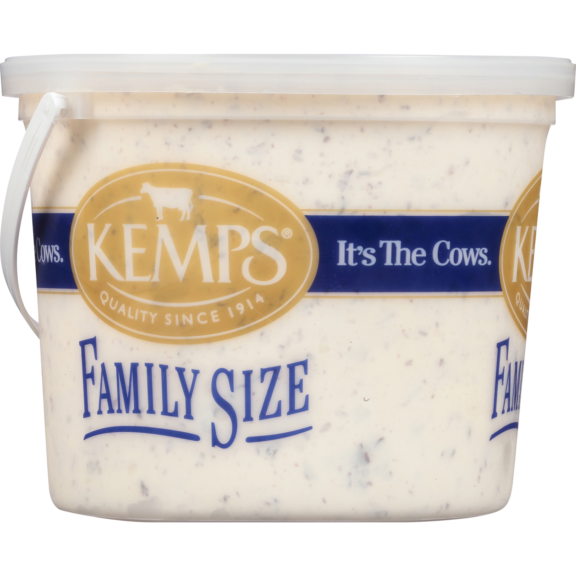 slide 2 of 6, Kemps Chocolate Chip Ice Cream Family Size, 1.03 gal