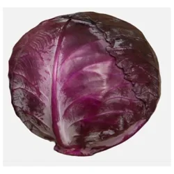 Cabbage Red Organic