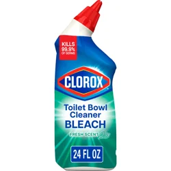 Clorox Bleach Fresh Breeze Scent Toilet Bowl Cleaner