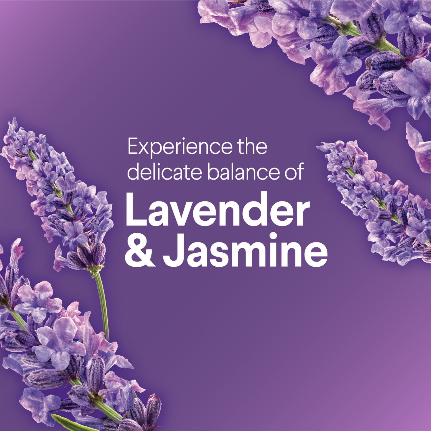 slide 7 of 8, Clorox Bleach Scentiva Lqd Lvndr Jsm, 81 oz