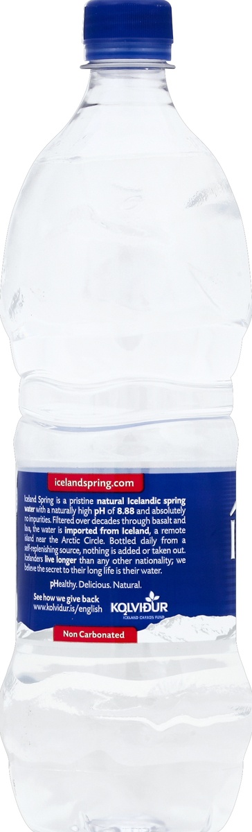 slide 4 of 4, Iceland Spring Spring Water, 33.8 oz