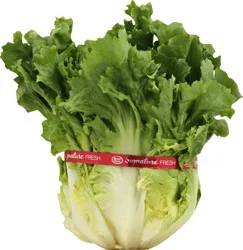 Produce Endive 1 ea