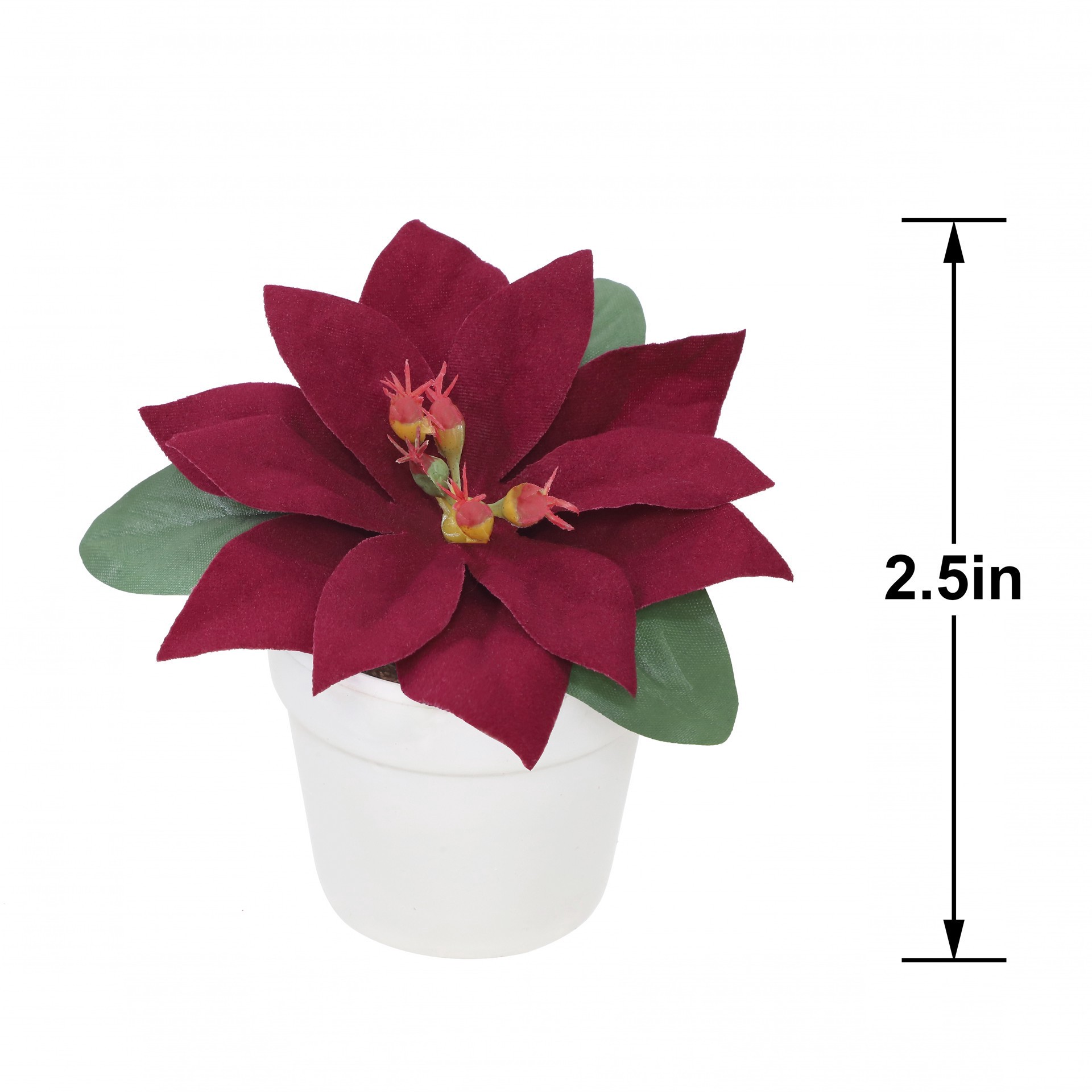 slide 2 of 3, 2.5" Premade Wine Velvet Poinsettia In White Terracotta Pot By Ashland, 3.75 in x 3.75 in x 2.5 in