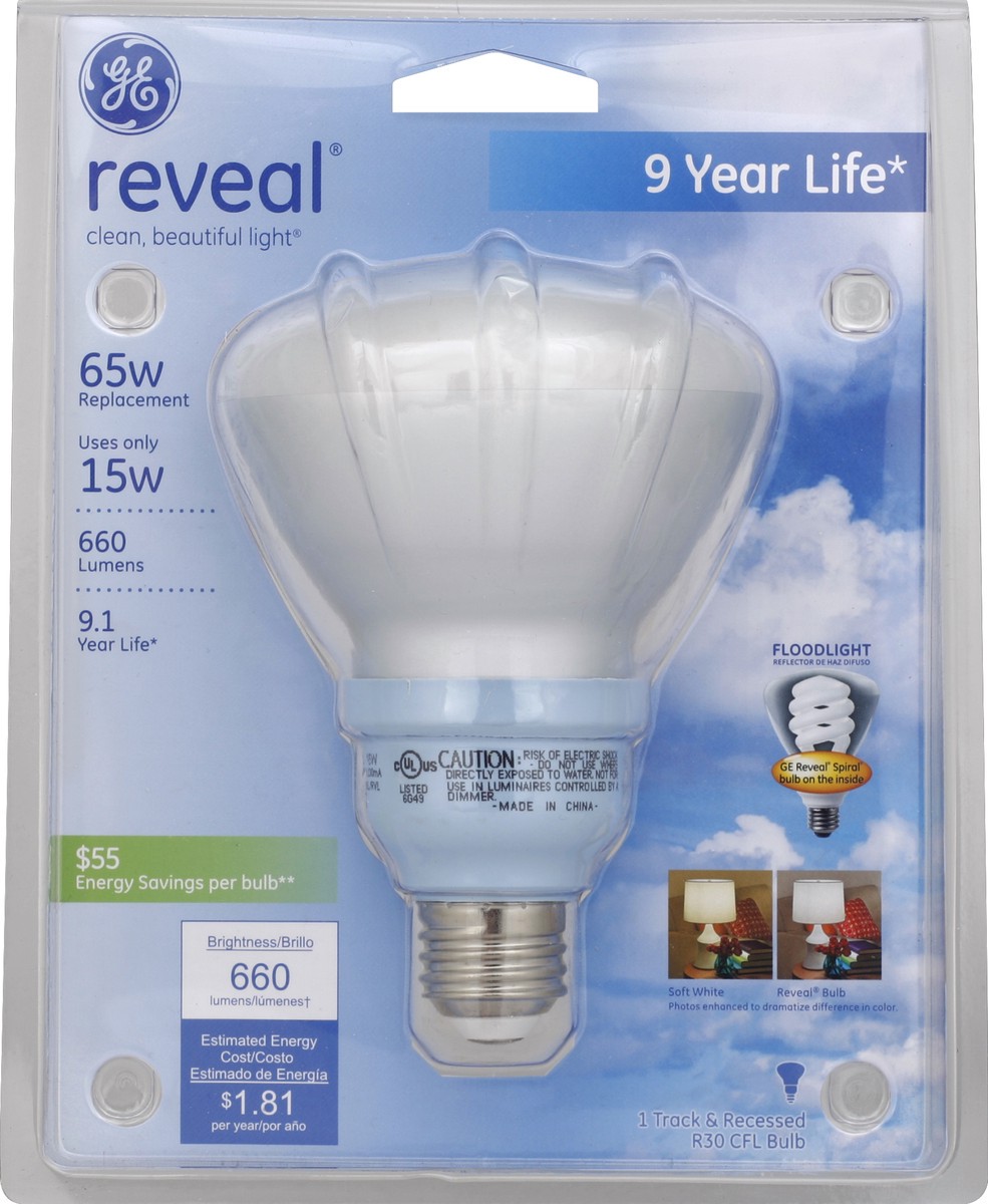 slide 2 of 2, GE Light Bulb 1 ea, 1 ea