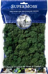 Supermoss Preserved Reindeer Moss