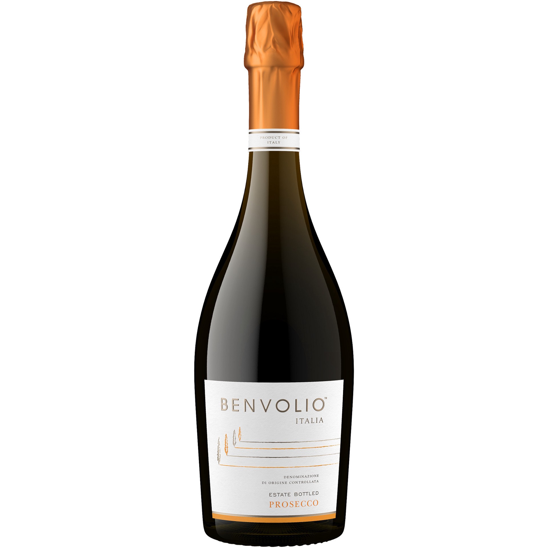 slide 1 of 4, Benvolio Prosecco Sparkling Wine, 750ml, 750 ml