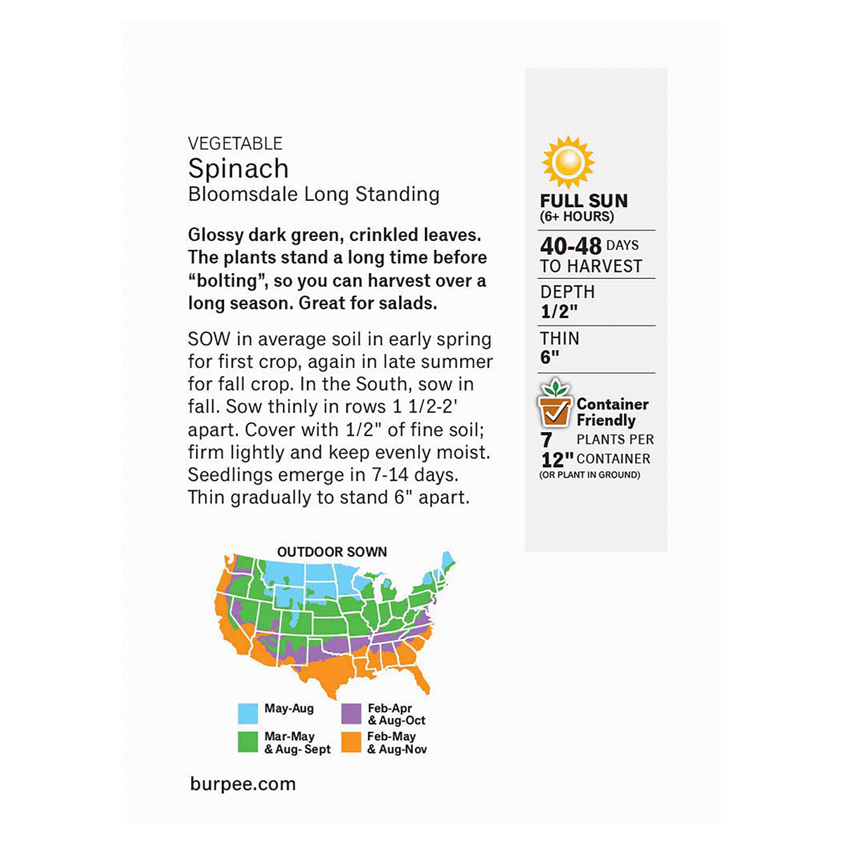 slide 5 of 5, Burpee Bloomsdale Long Standing Spinach Seeds - Green, 1 ct