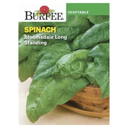 Burpee Bloomsdale Long Standing Spinach Seeds - Green