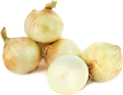 Onion Sweet Vidalia