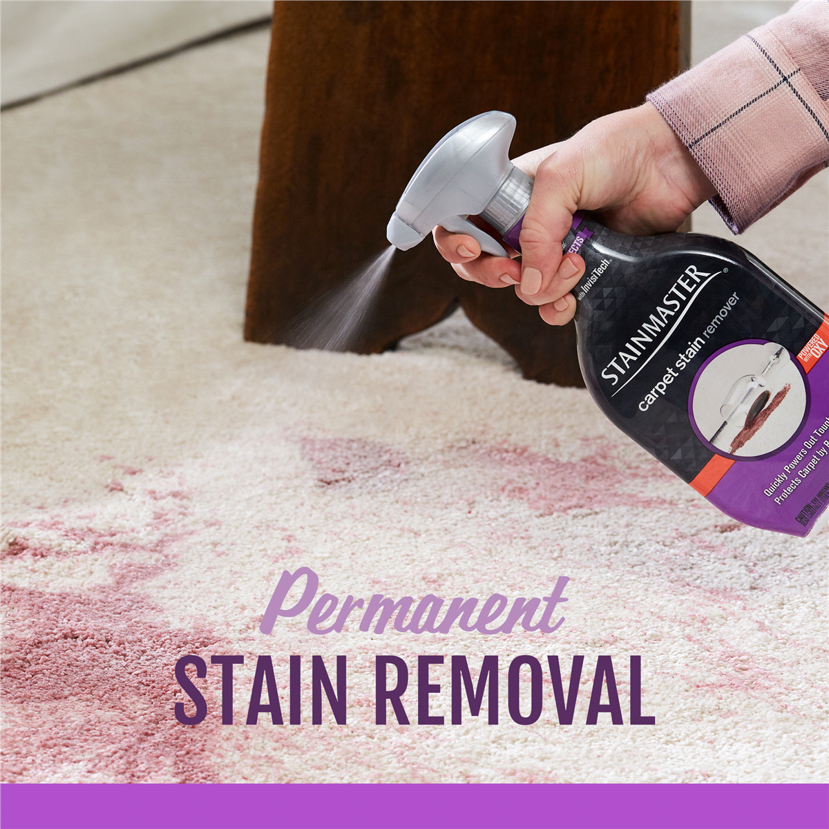 slide 2 of 5, STAINMASTER Carpet Pet Stain Remover , 22 fl oz