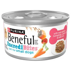 Purina Beneful Small Breed High Protein Wet Dog Food, With Gravy, Incredibites With Real Salmon