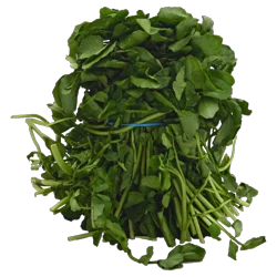 Watercress