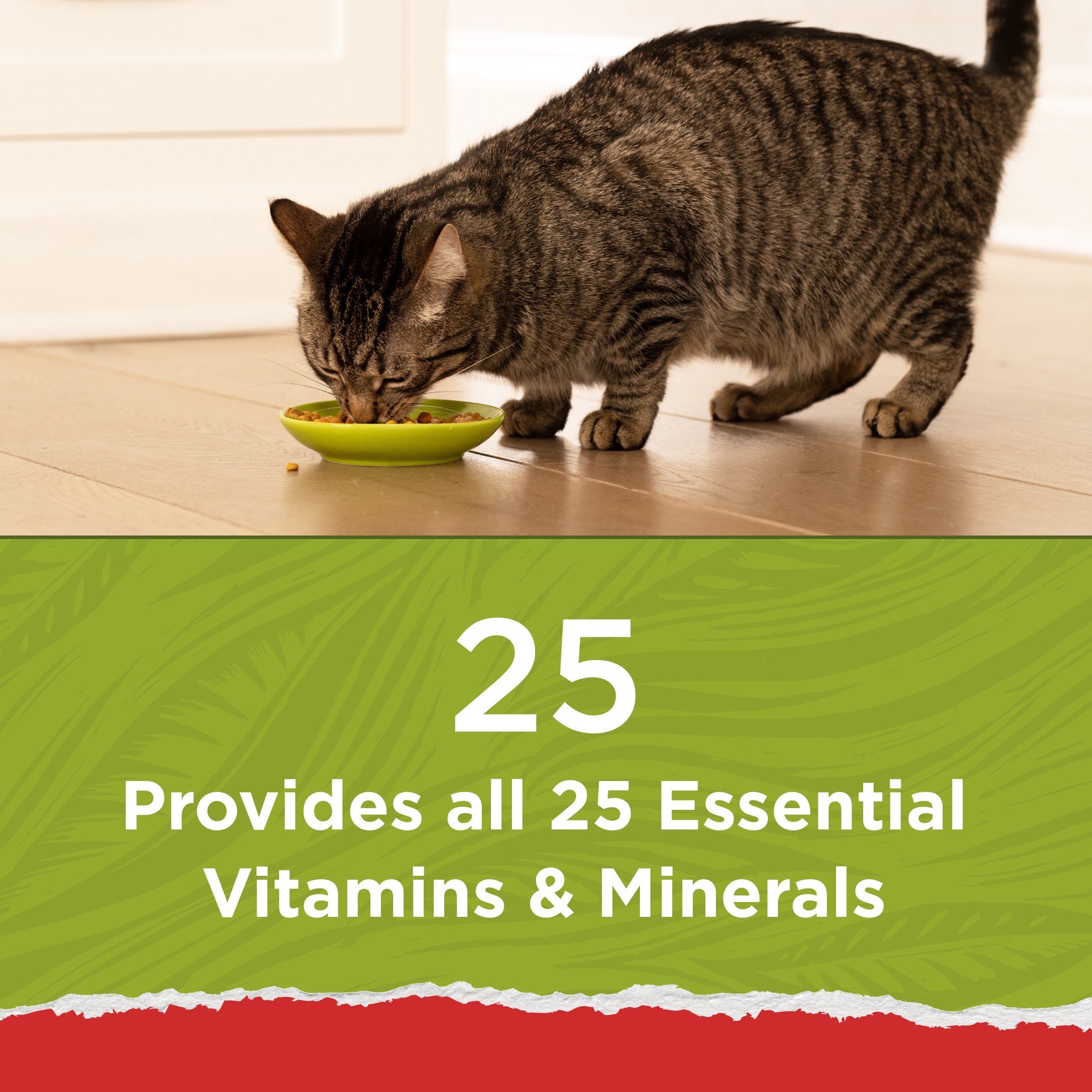 slide 6 of 9, Purina Cat Chow Naturals Original Adult Complete & Balanced Chicken Flavor Dry Cat Food - 13lbs, 13 lb