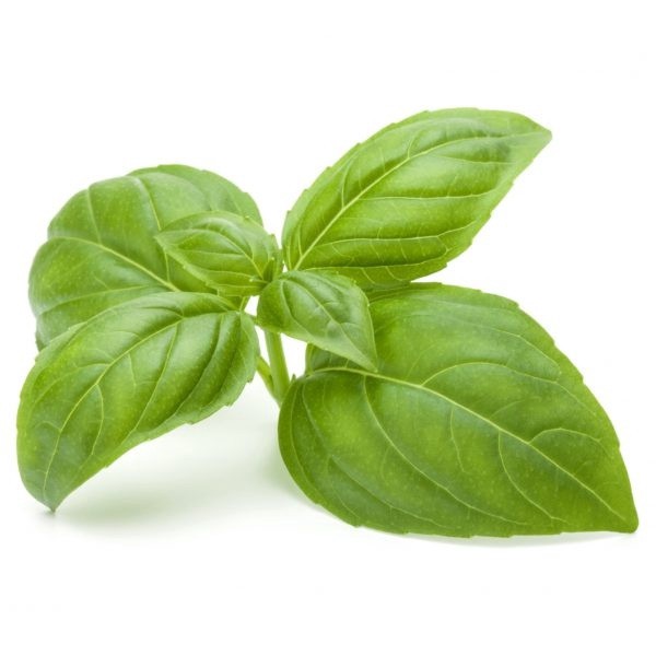 slide 1 of 1, Organic Basil, 4 oz