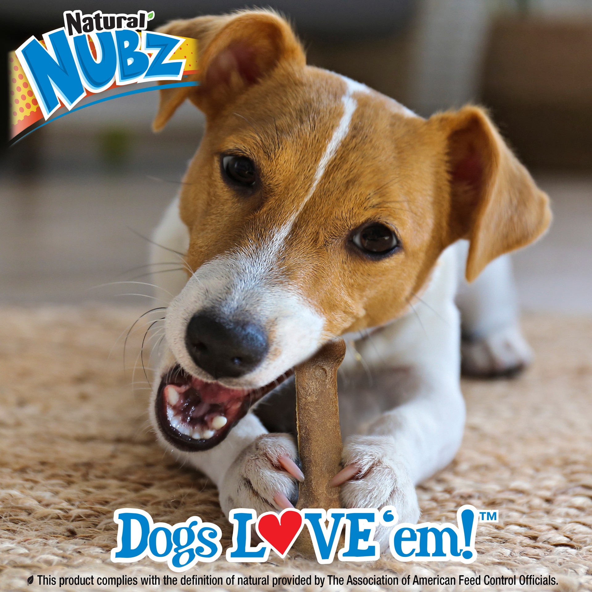 slide 5 of 8, Nylabone Daily Health Nubz Chew Treats Roast Beef Petite - Up to 15 lbs.(2 Count), 2 ct