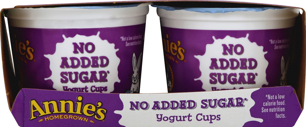 slide 3 of 4, Annie's Whole Milk Yogurt Blueberry, 4 ct