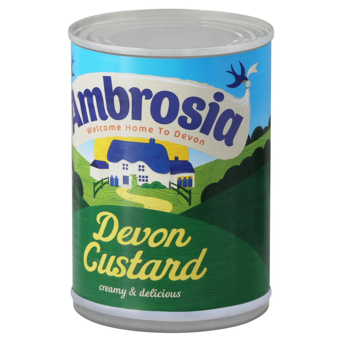 slide 5 of 14, Ambrosia Devon Custard, 14.1 oz