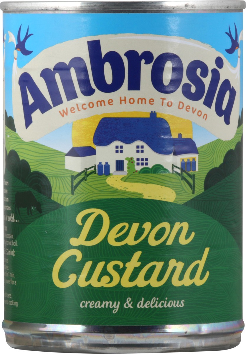 slide 11 of 14, Ambrosia Devon Custard, 14.1 oz