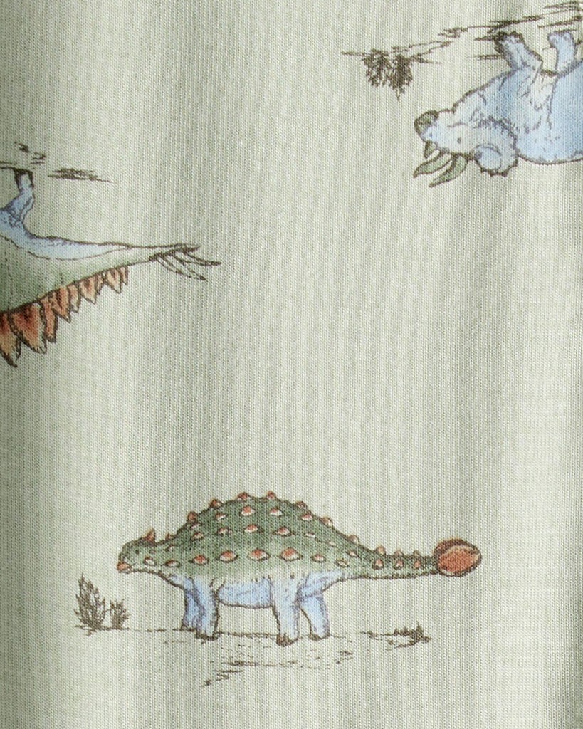 slide 6 of 6, Carter's Carters Baby Boy Dinosaur Print PurelySoft Long-Sleeve Sleep & Play - Green Green NB, 1 ct