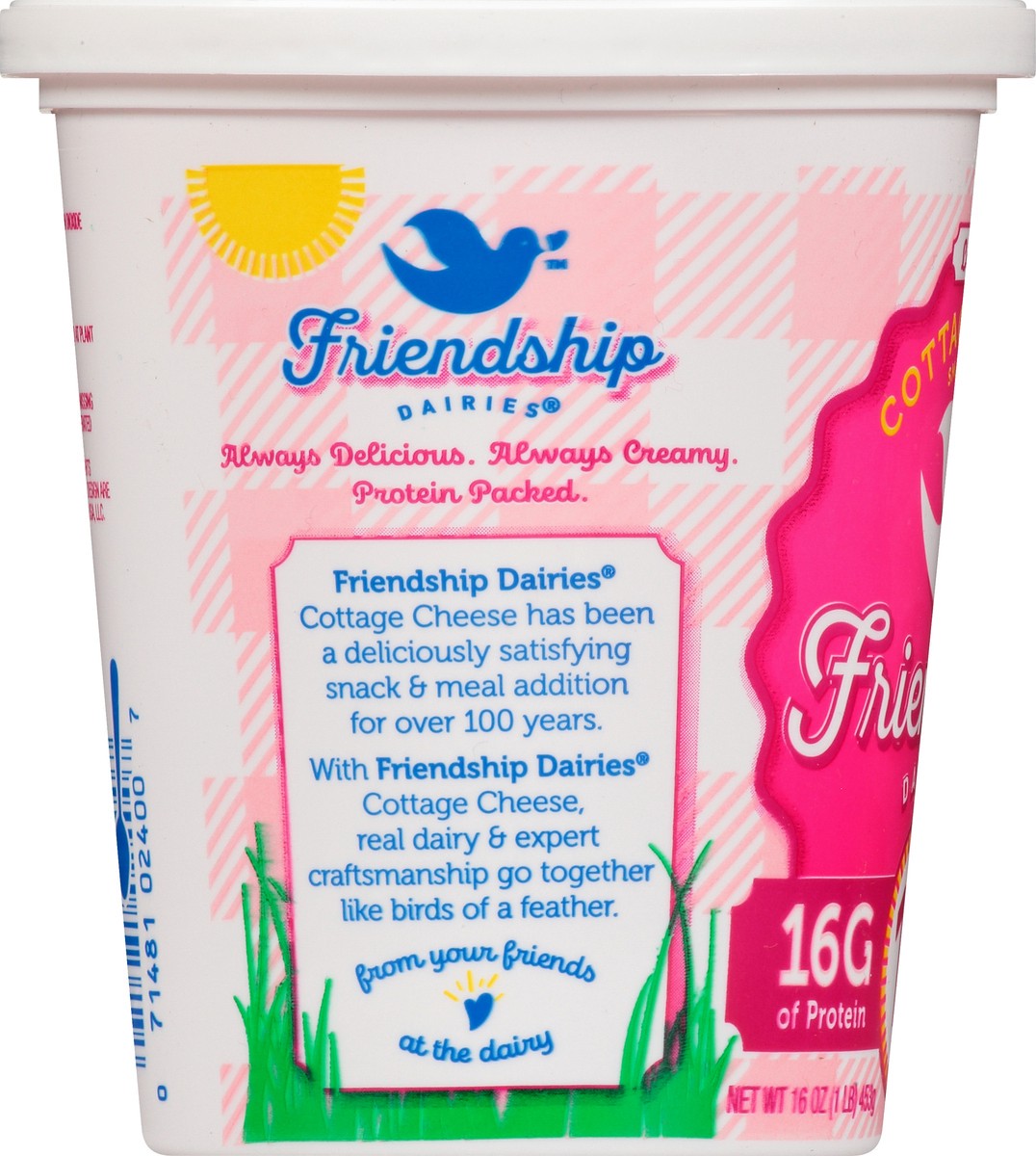 slide 2 of 9, Friendship Dairies Low Fat 1% Milkfat Everyday Style Small Curd Cottage Cheese 16 oz, 16 oz