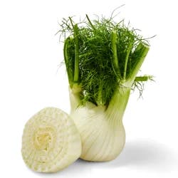 Fennel