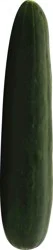 Cucumber 1 ea