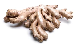 Organic Ginger Root, 6 Oz