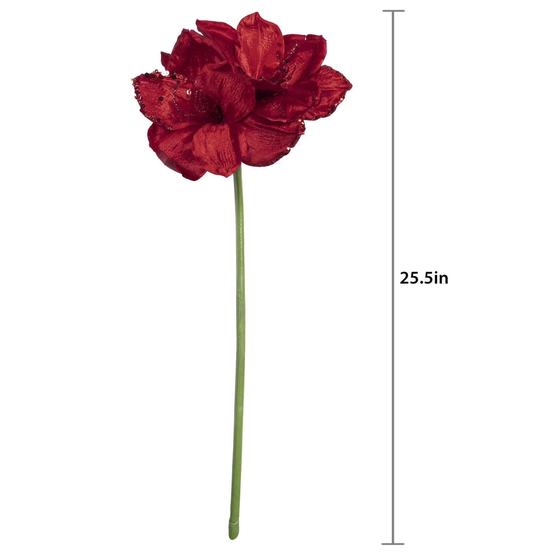 slide 2 of 2, 26" Red Jewel Amaryllis Stem By Ashland, 9 in x 7 in x 26 in