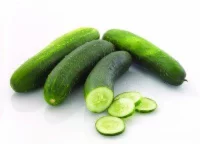 Cucumbers