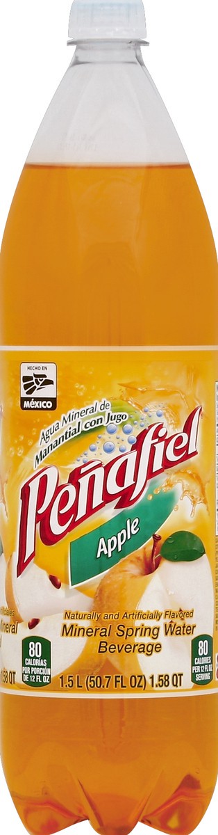 slide 1 of 5, Peñafiel Water Beverage 50.7 oz, 50.7 oz